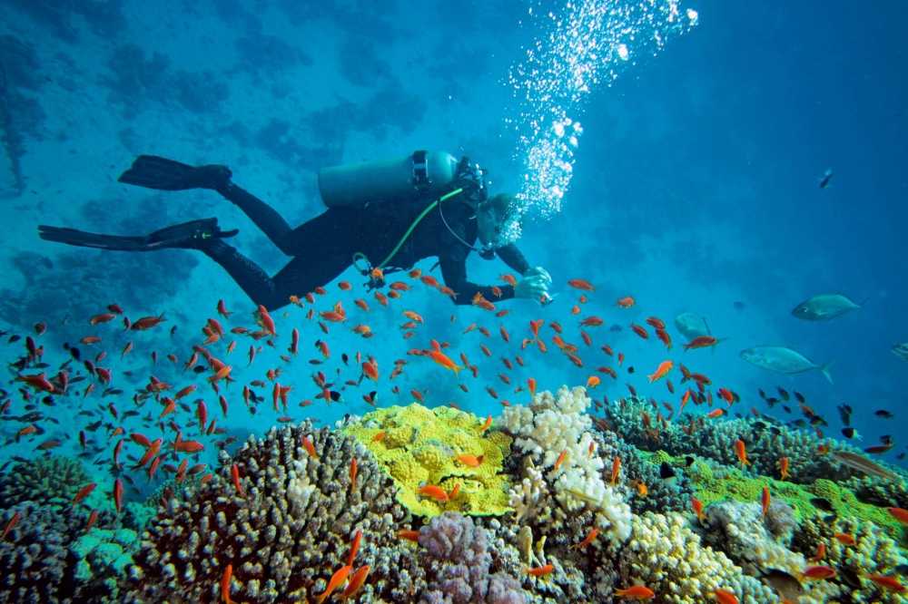 Snorkelling Malvan Tarkarli Beach